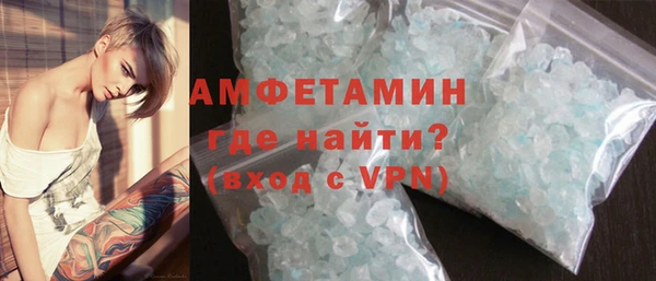 твердый Гусев
