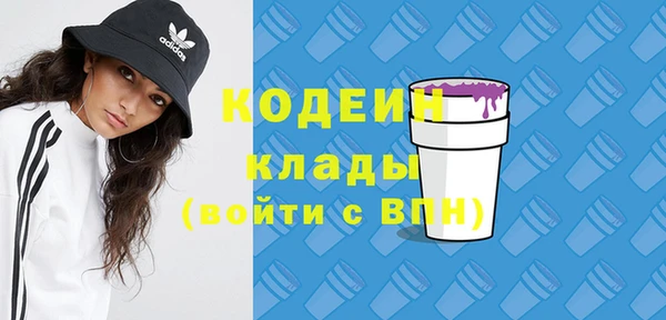 твердый Гусев