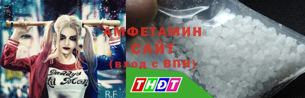 твердый Гусев