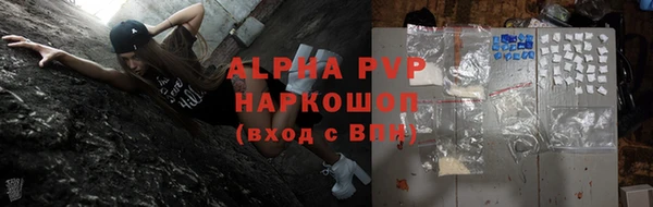твердый Гусев