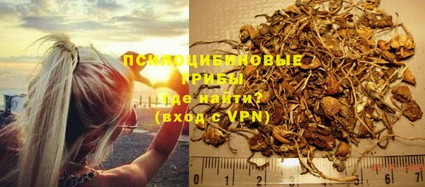 мдпв Гусиноозёрск