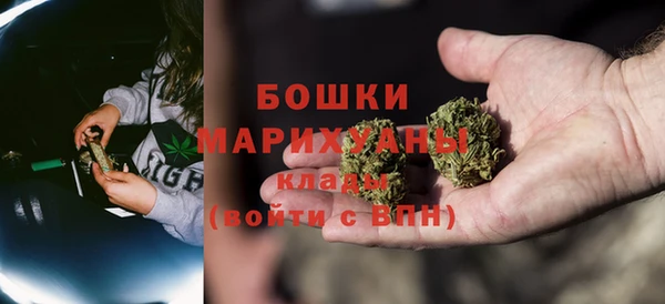 твердый Гусев