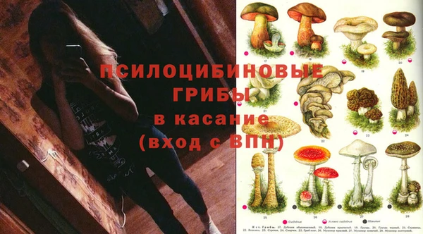 твердый Гусев