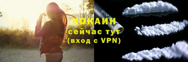 твердый Гусев