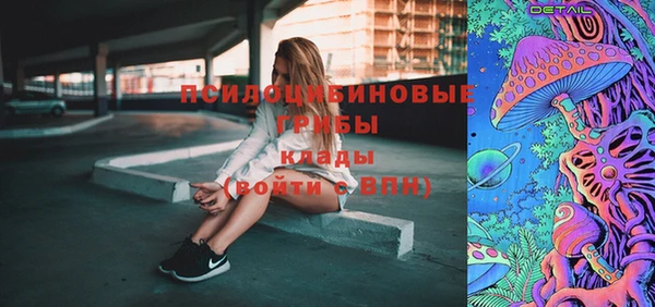 твердый Гусев