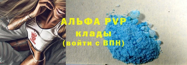 твердый Гусев