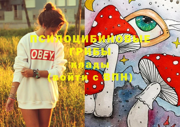 мдпв Гусиноозёрск