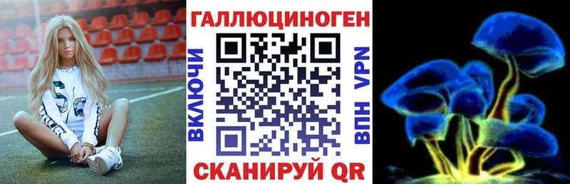 Галлюциногенные грибы Psilocybine cubensis  Данков 